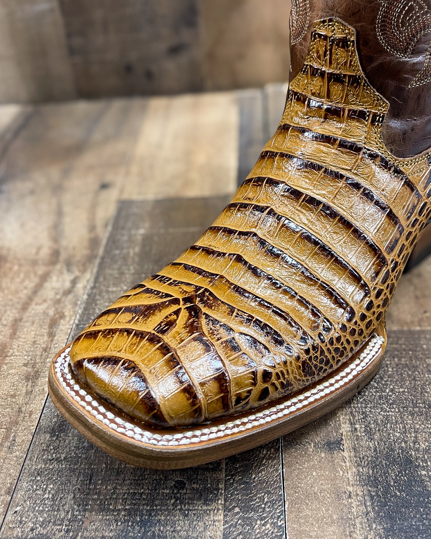 Cowboy Boot Caiman Black Honey