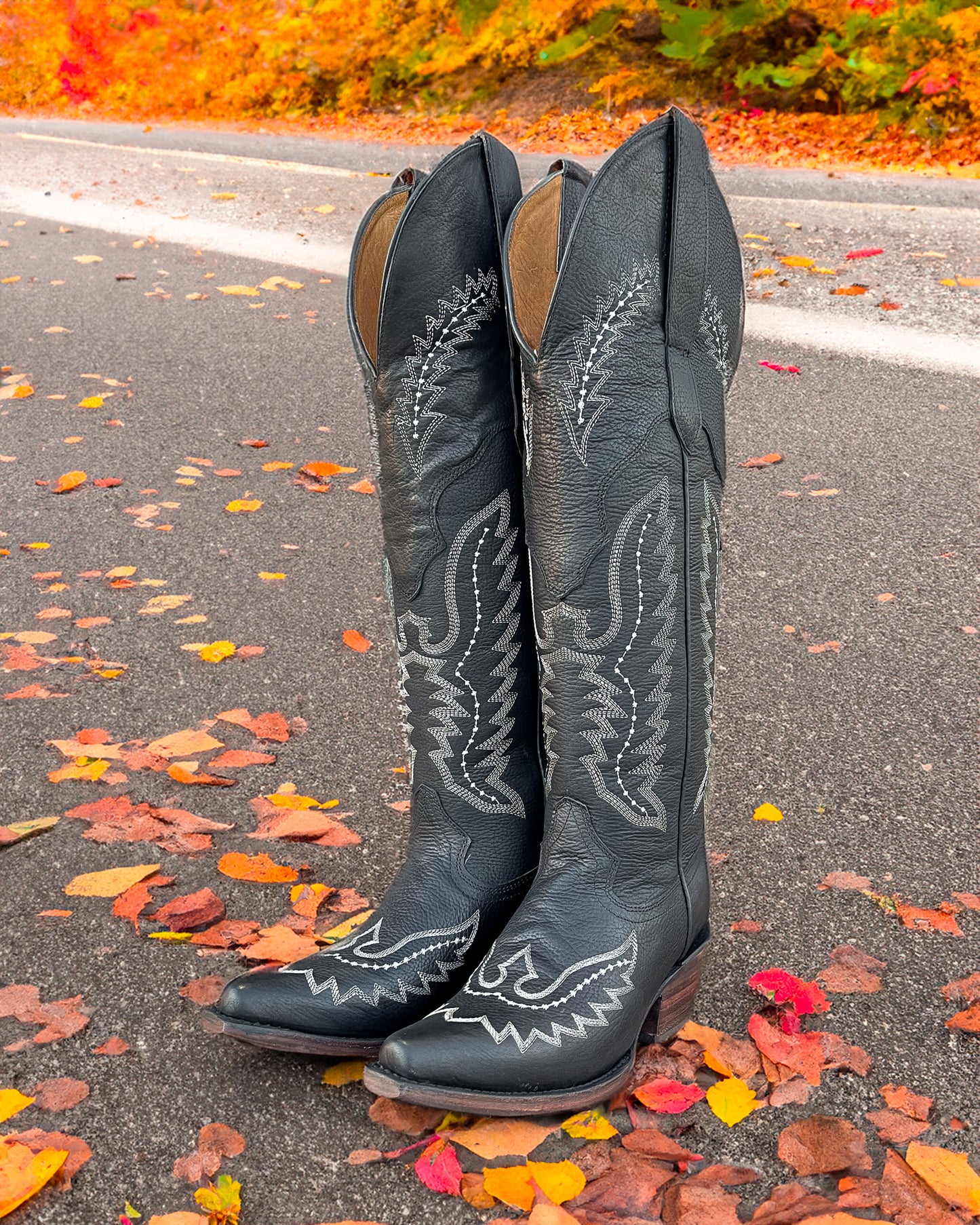 Cowboy Boot Tall Alice Black