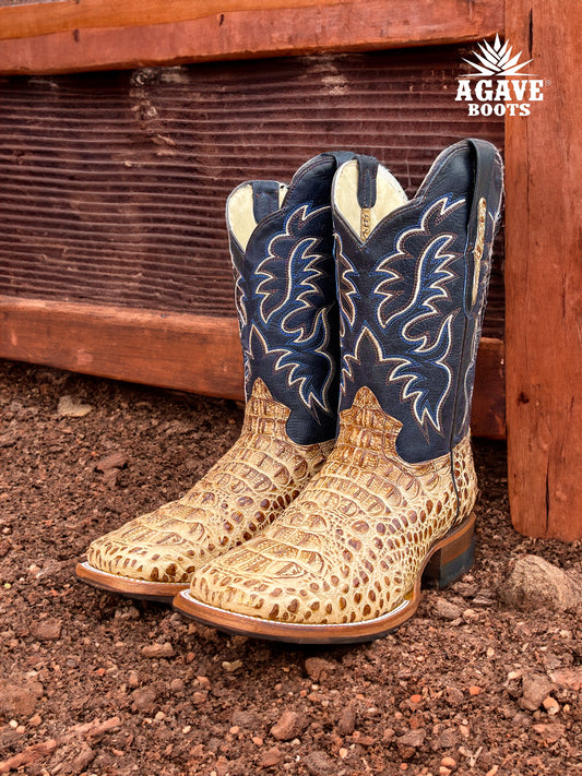 Cowboy Boot Tan Caiman Hornback