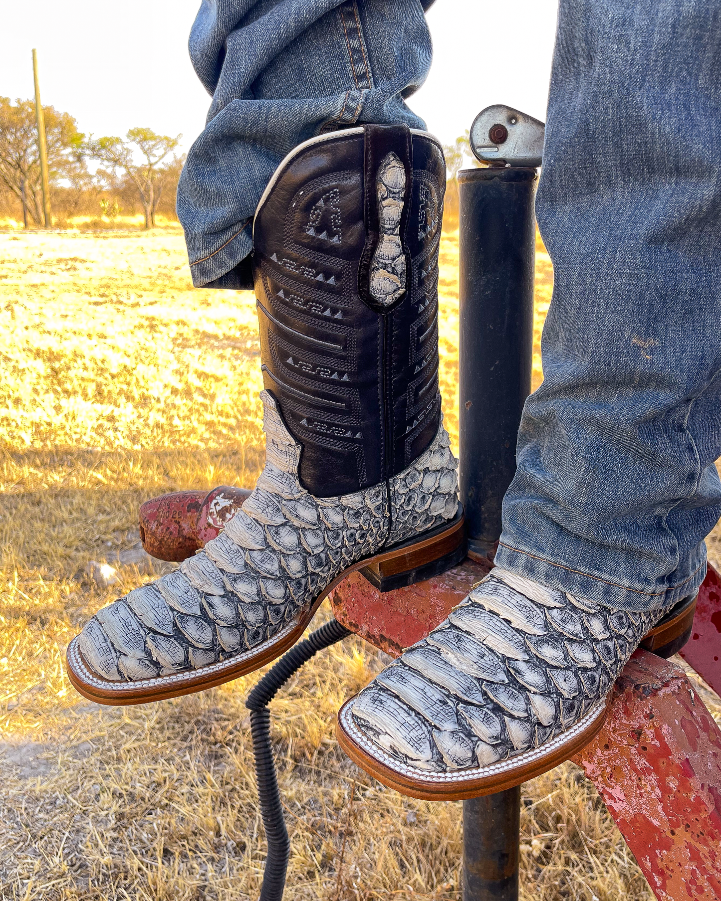 Cowboy Boot White Python