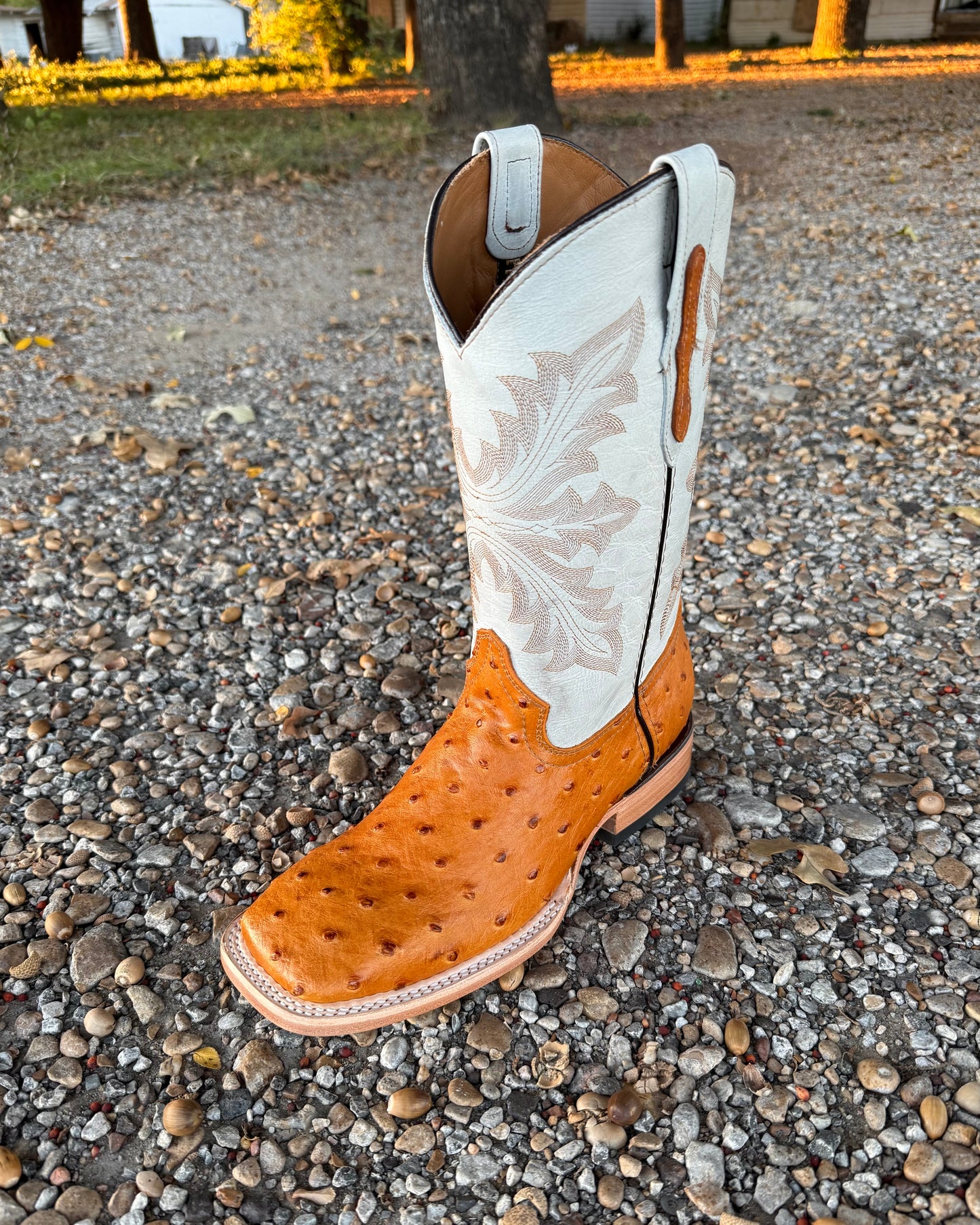 Cowboy Boot Ostrich Buttercup
