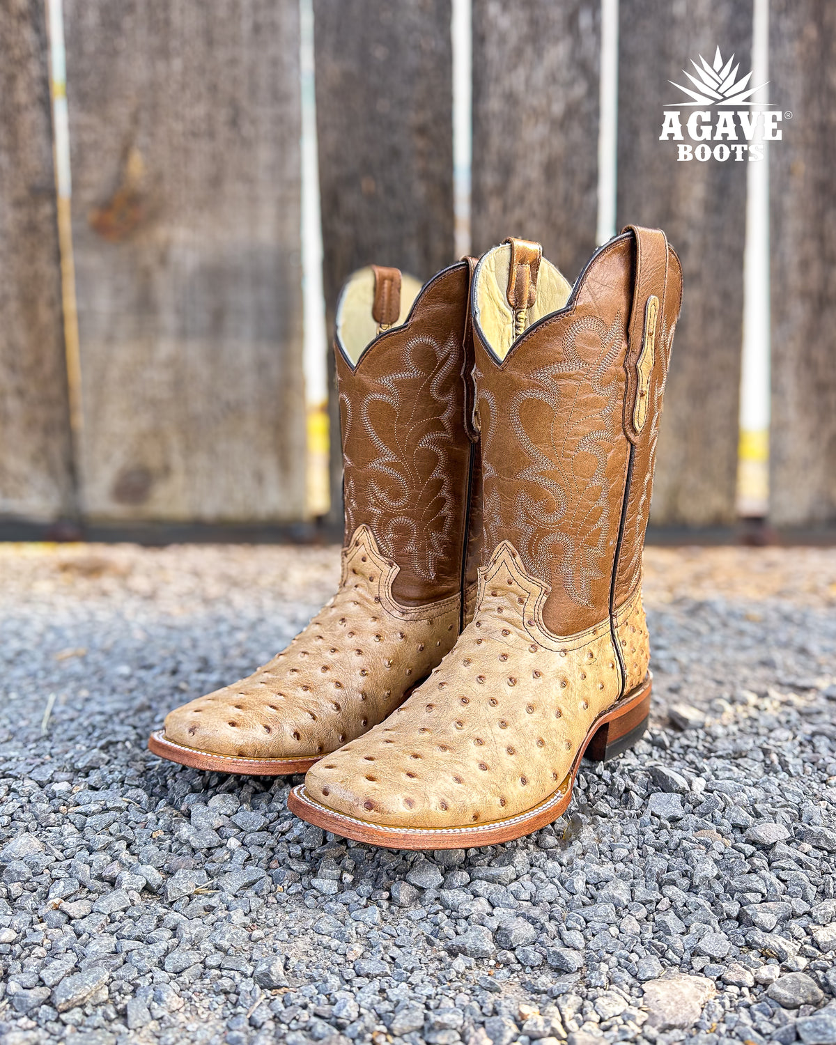 #58 Baby Cocodrile x Ostrich Design Western Boot Amazon.com | Kids Cowboy Boot Infant Toddler Ostrich Print  main image 3