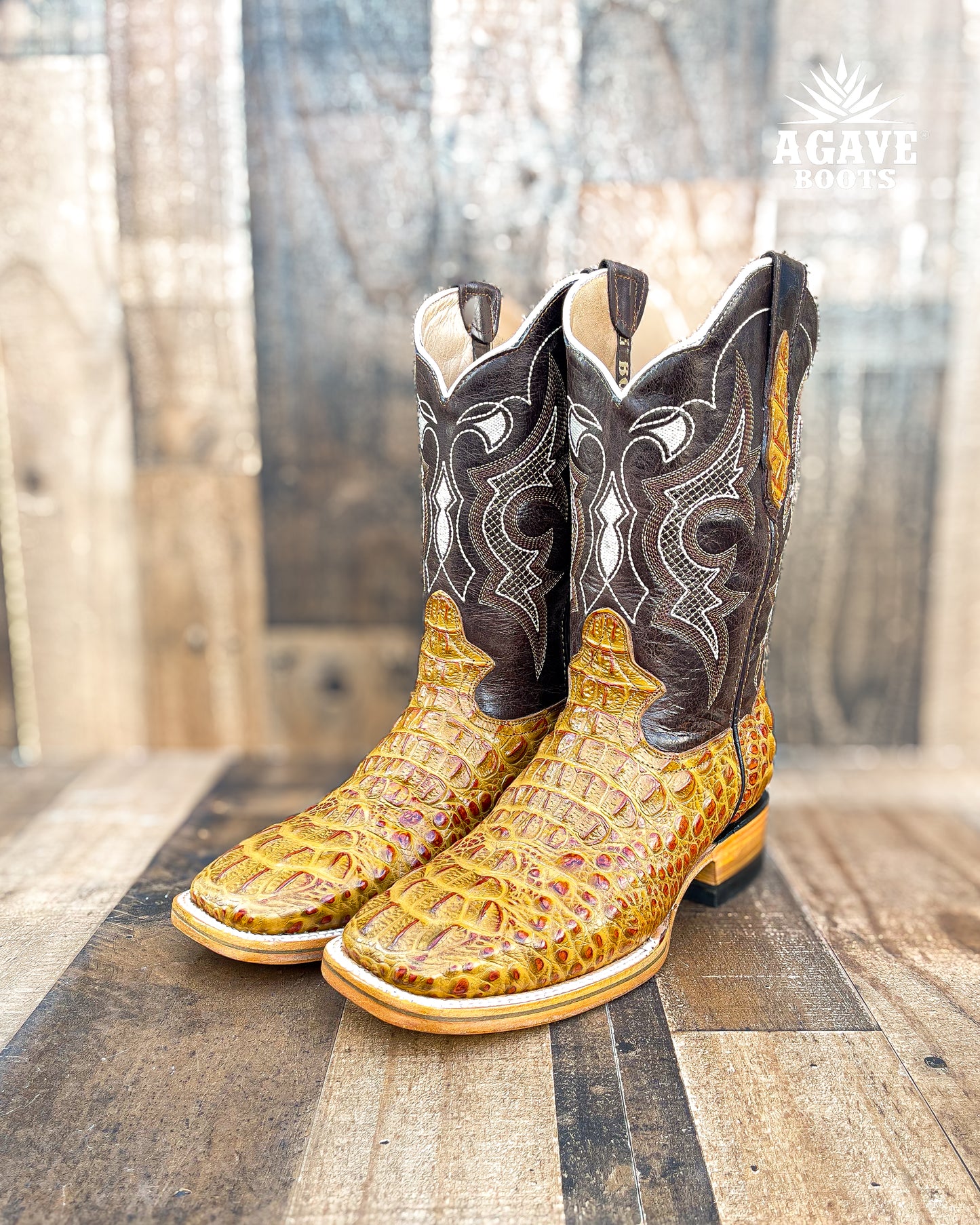 CAIMAN HORN BACK "CEDAR" | MEN SQUARE TOE WESTERN COWBOY BOOTS