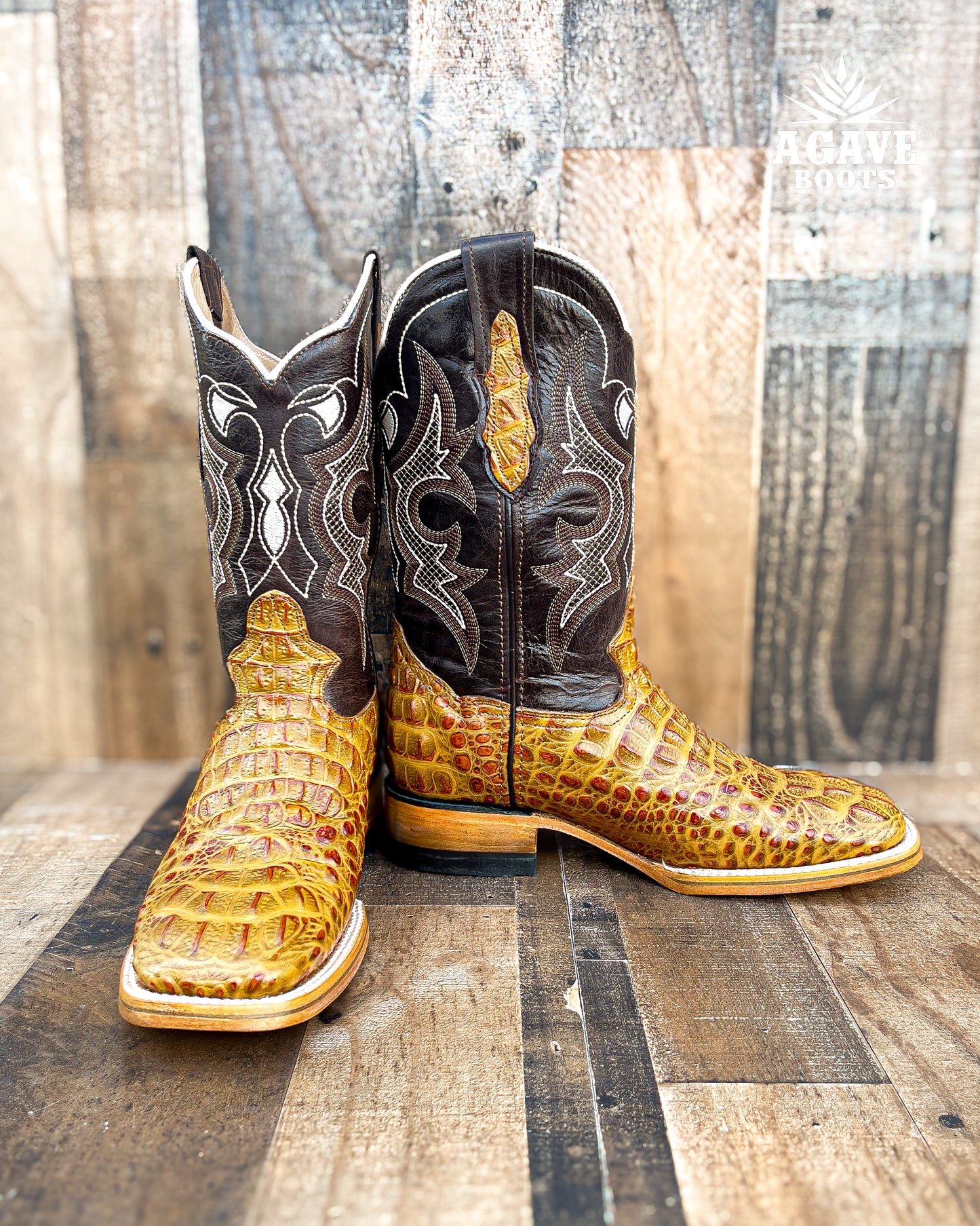 CAIMAN HORN BACK "CEDAR" | MEN SQUARE TOE WESTERN COWBOY BOOTS