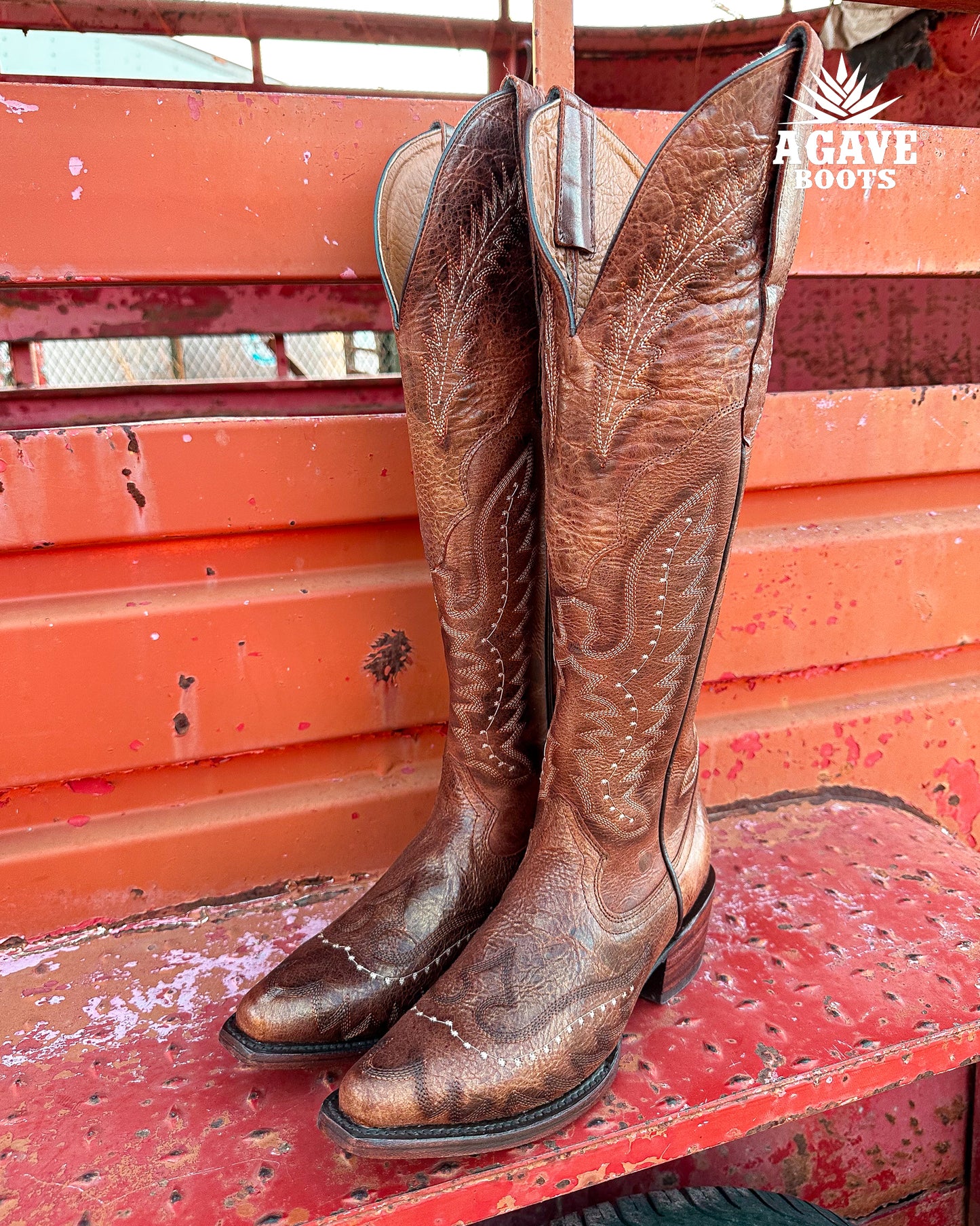 ALICE "COPPER" | WOMEN TALL COWBOY BOOTS